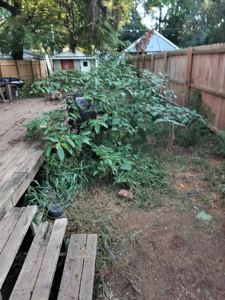 Affordable lawn mowing service experts serving Louisville, KY - Krisp LawnKutz