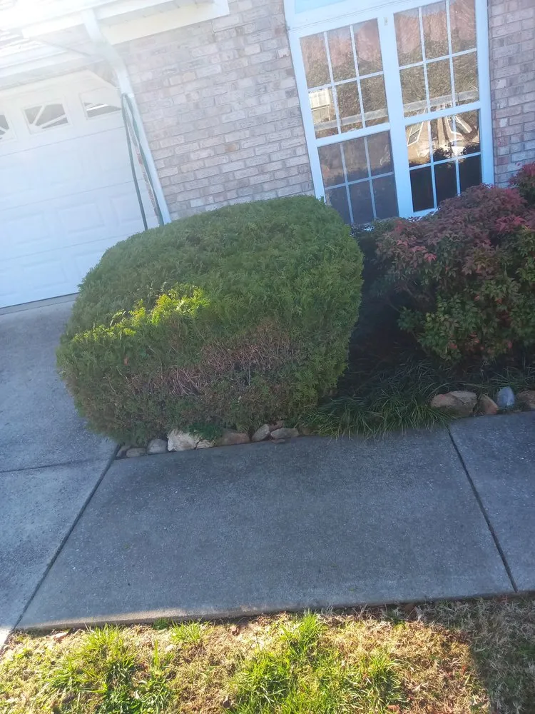 Local lawn mowing service in Dunlap, TN - Krisp N Clean