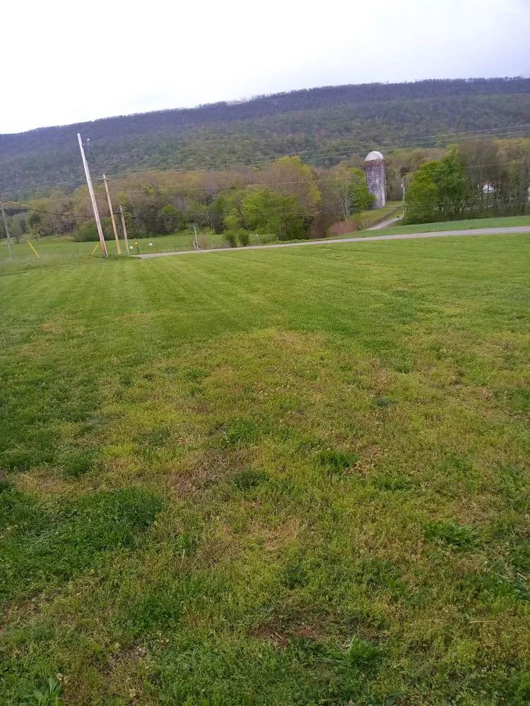 Custom outdoor landscaping experts serving Dunlap, TN - Krisp N Clean