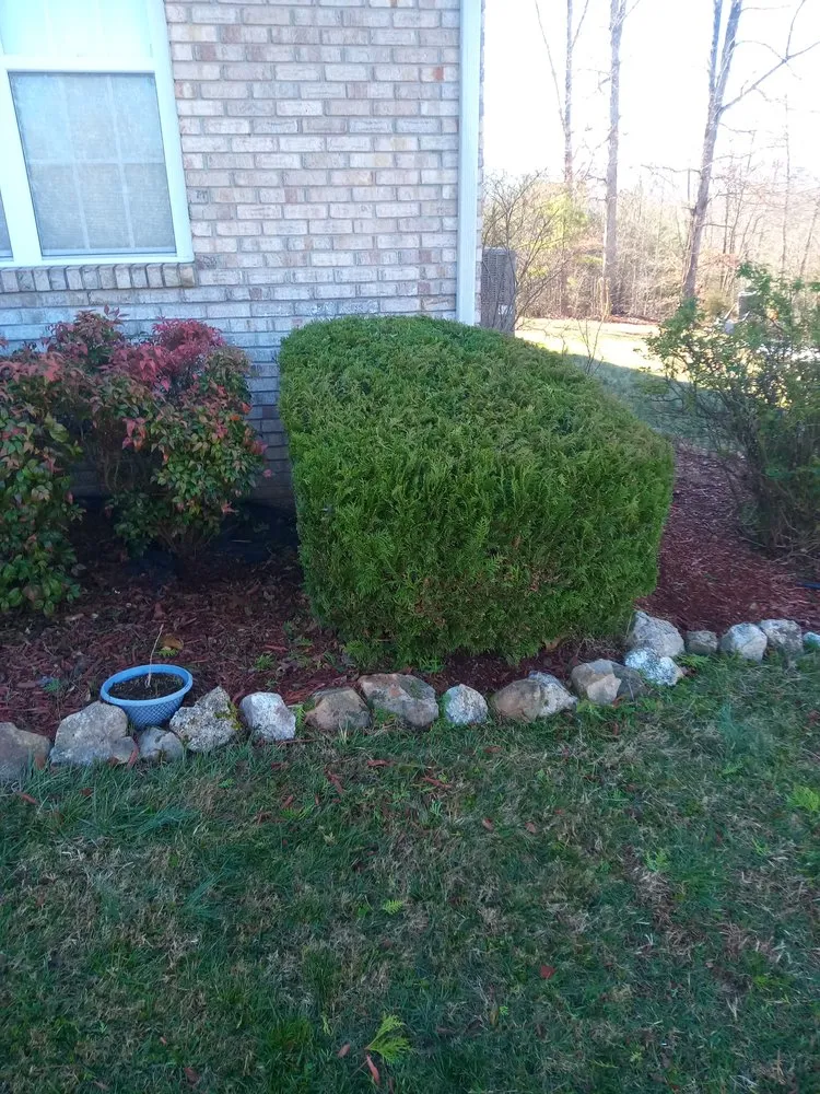 Professional garden landscaping in Dunlap, TN by Krisp N Clean