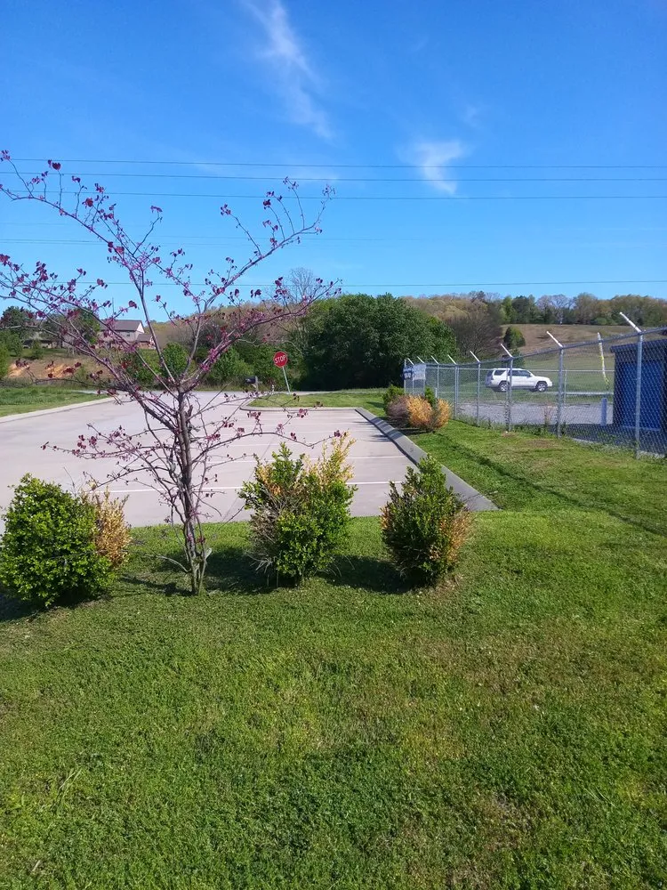 Top-rated yard cleanup service with custom design across Dunlap, TN - Krisp N Clean