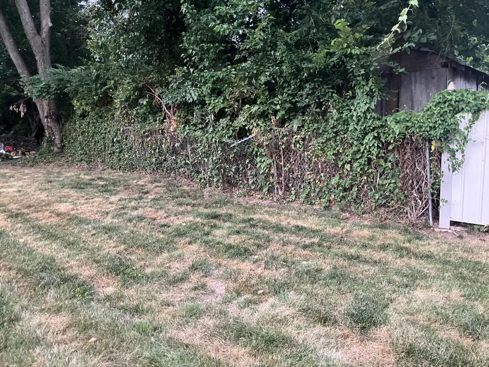 Local landscape installation in Independence, MO - Krispy Kuttz LawnCare & Landsaping