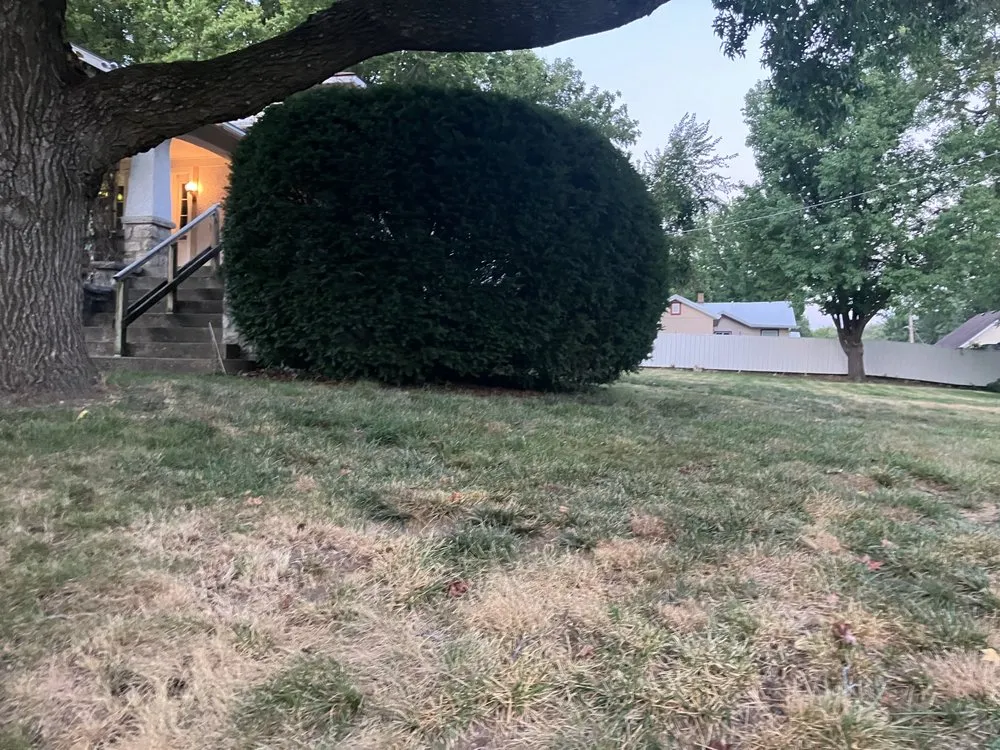 Affordable yard cleanup service in Independence, MO - Krispy Kuttz LawnCare & Landsaping