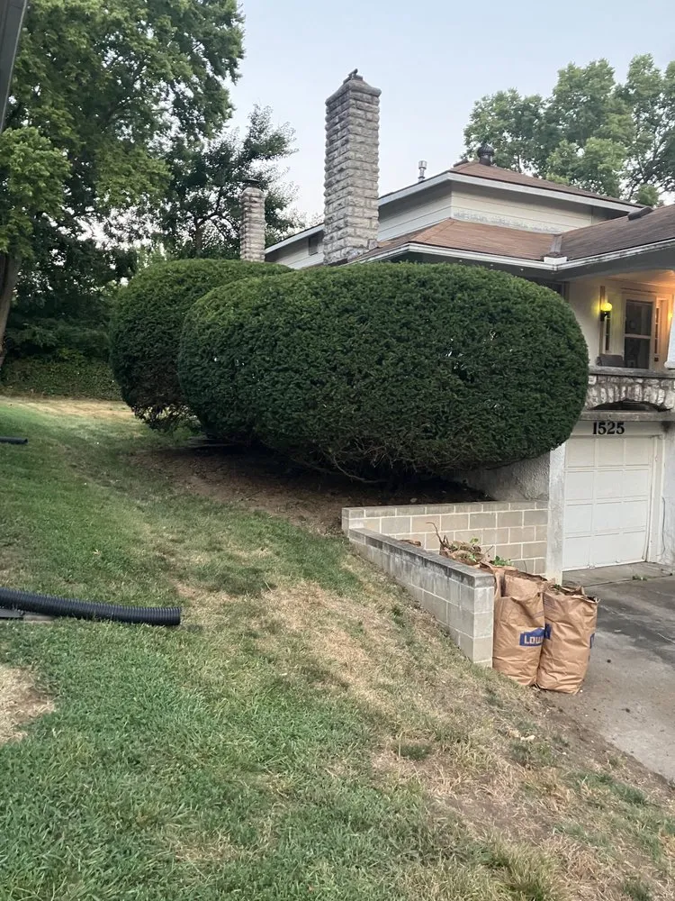 Top-rated landscaping services for beautiful yards across Independence, MO - Krispy Kuttz LawnCare & Landsaping