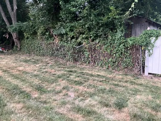 Krispy Kuttz LawnCare & Landsaping Logo