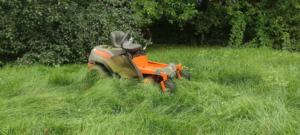 Trusted landscaping services for year-round maintenance across Oxford, PA - Krispy Kutz