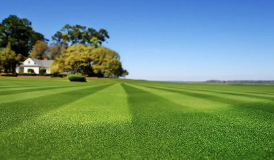 Trusted lawn mowing service for residential properties in Kalamazoo, MI by Kristen Properties