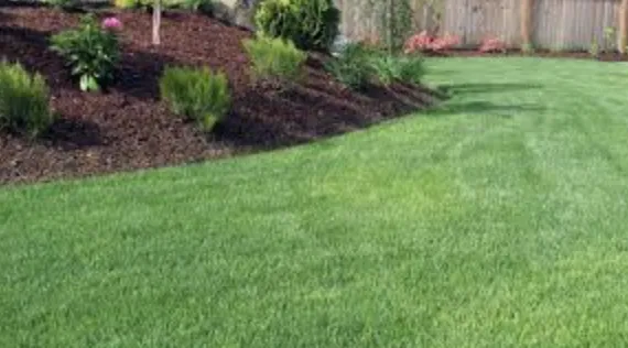 Top-rated residential landscaping in Kalamazoo, MI by Kristen Properties