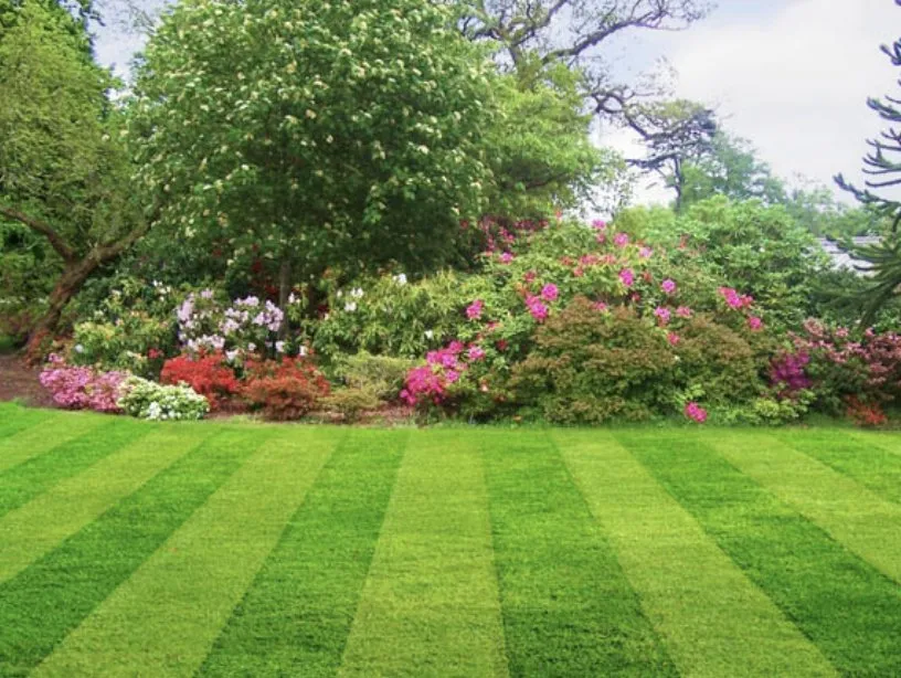 Top-rated landscape design in Kalamazoo, MI - Kristen Properties