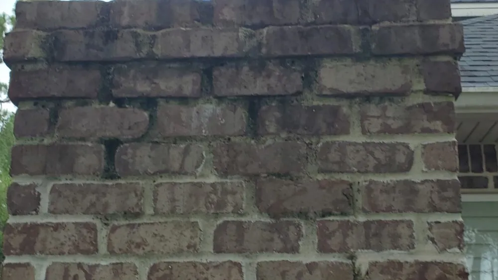 Top-rated garden landscaping in Fort Walton Beach, FL - Kristi And David Cleaning