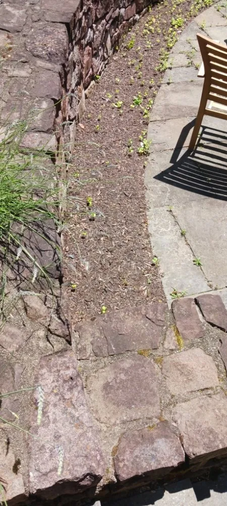 Affordable residential landscaping experts serving Pottstown, PA - Kristian Seville's Premium