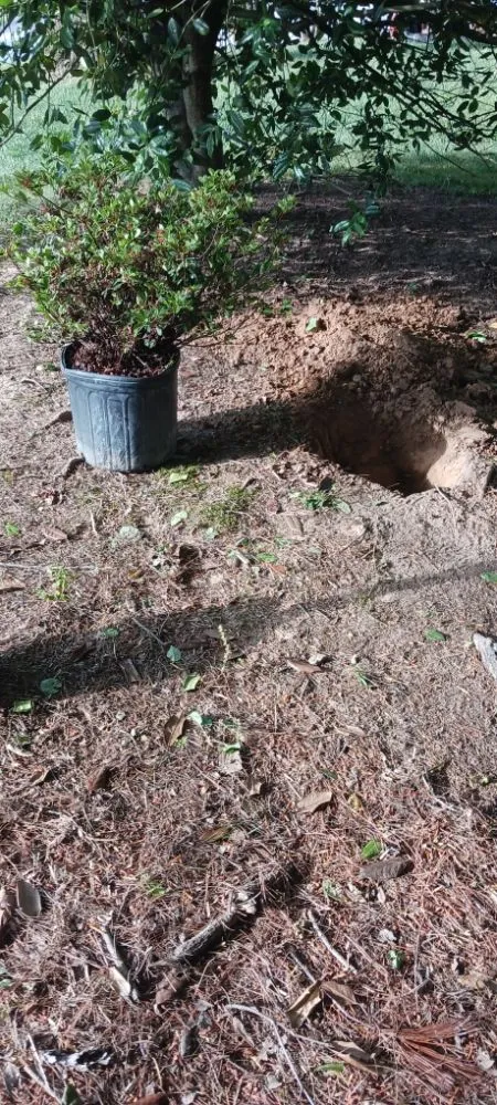 Local garden landscaping experts serving Pottstown, PA - Kristian Seville's Premium