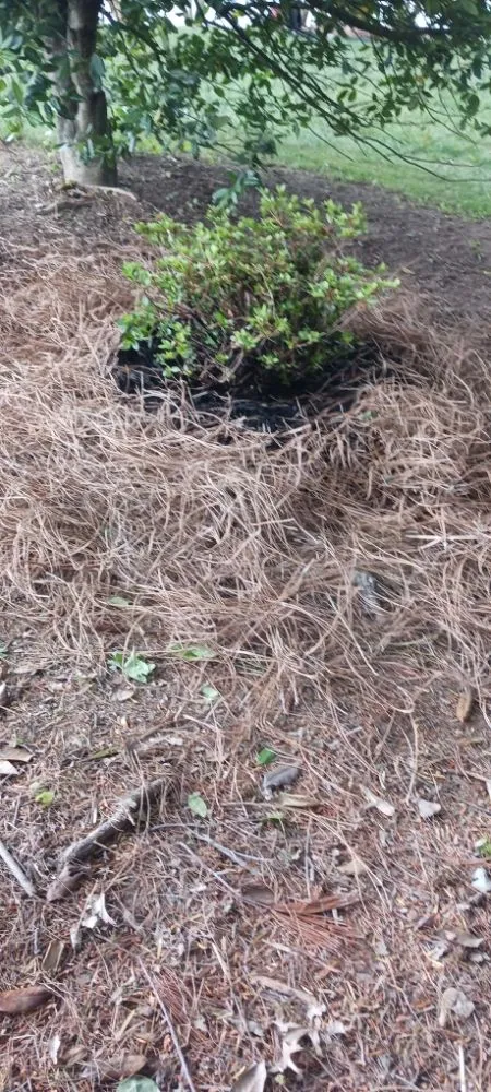 Custom lawn mowing service in Pottstown, PA - Kristian Seville's Premium