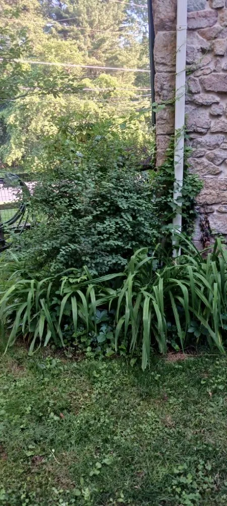 Local garden landscaping in Pottstown, PA - Kristian Seville's Premium