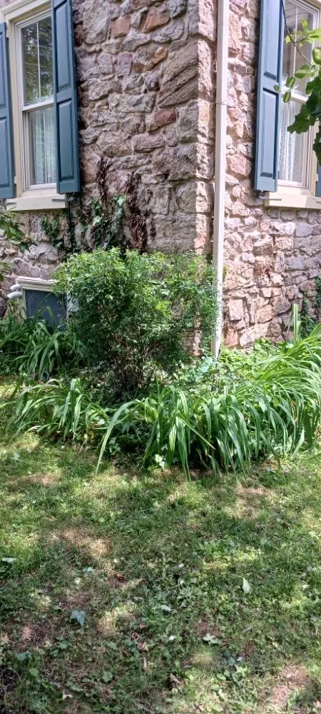 Reliable landscaping services in Pottstown, PA by Kristian Seville's Premium