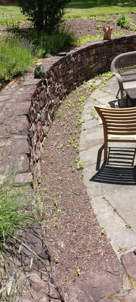 Top-rated lawn mowing service for beautiful yards across Pottstown, PA - Kristian Seville's Premium