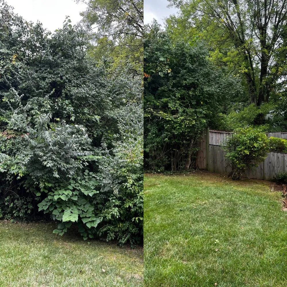 Custom garden landscaping in Fairfax, VA - Kristian's Lawn & Landscape