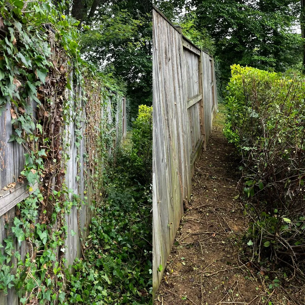 Custom lawn care service in Fairfax, VA by Kristian's Lawn & Landscape