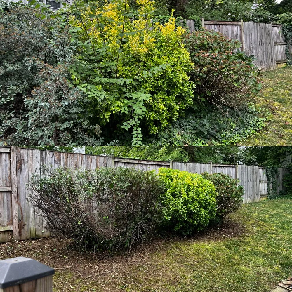 Trusted lawn care service experts serving Fairfax, VA - Kristian's Lawn & Landscape