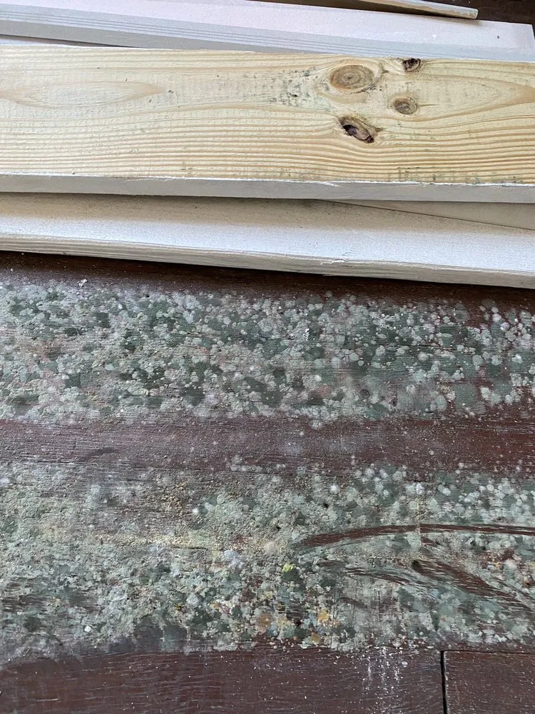 Local yard cleanup service in Point Marion, PA by Kristine Dillow - Starlite Renovations & Landscapes