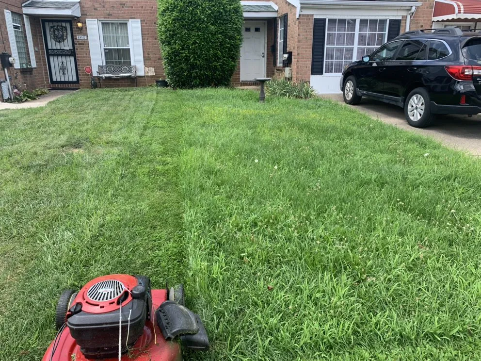 Affordable residential landscaping in Clifton Heights, PA by KRK mowing