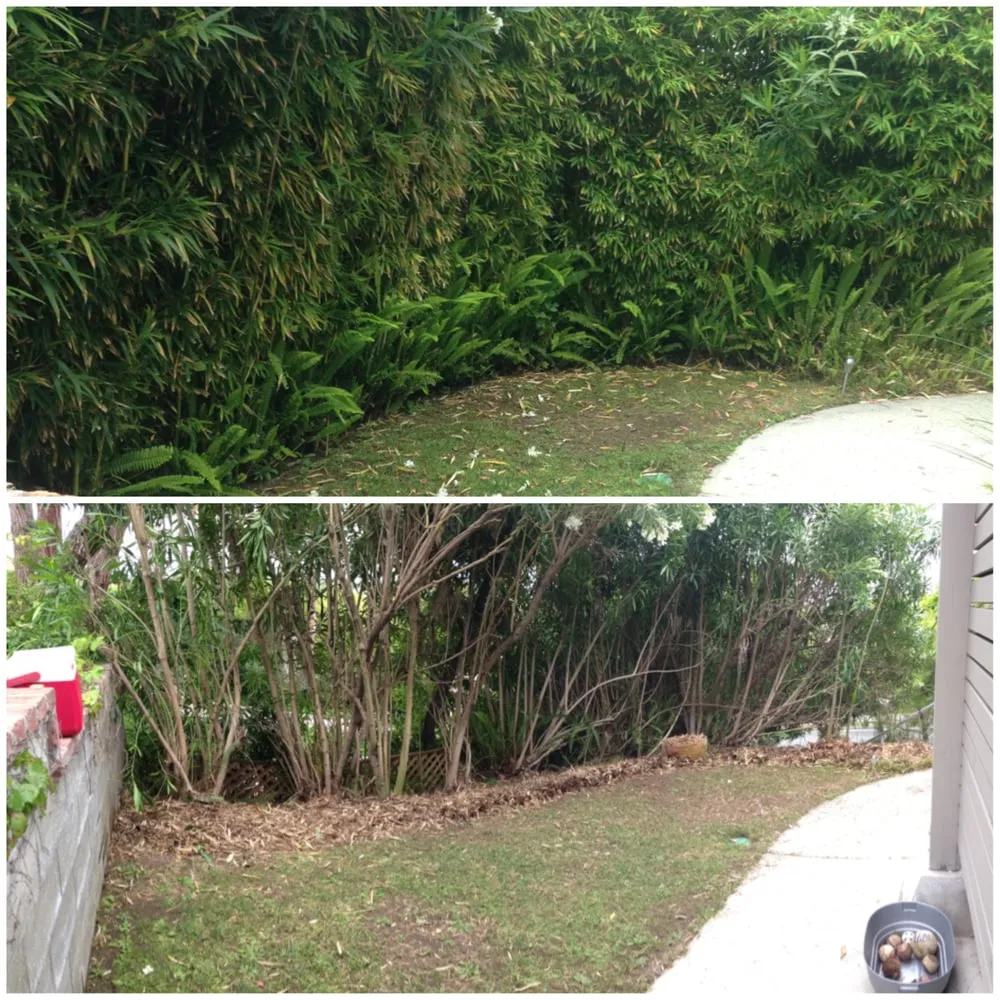 Trusted landscape installation for year-round maintenance in Sun Valley, CA by KRM Garden Management