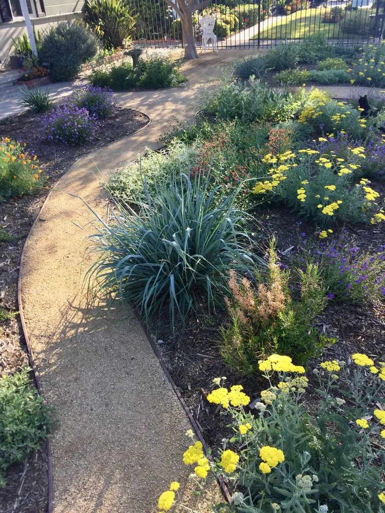 Custom lawn mowing service for homes across Sun Valley, CA - KRM Garden Management