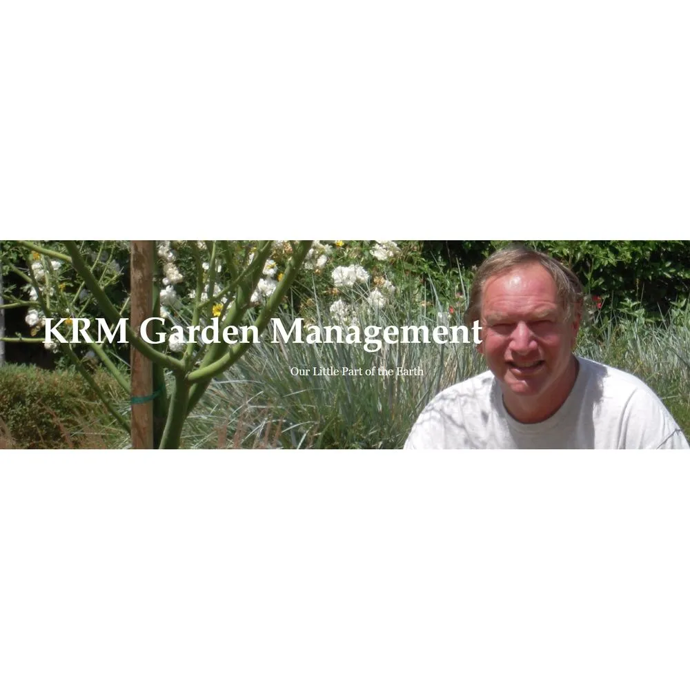 Reliable yard cleanup service experts serving Sun Valley, CA - KRM Garden Management