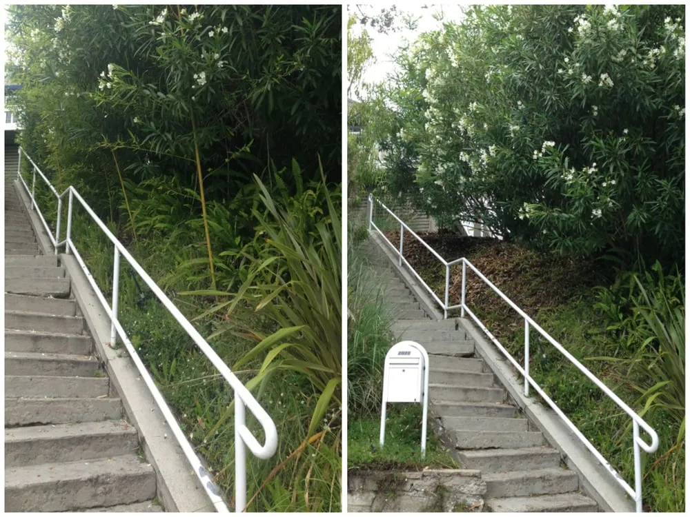 Local lawn care service for beautiful yards across Sun Valley, CA - KRM Garden Management