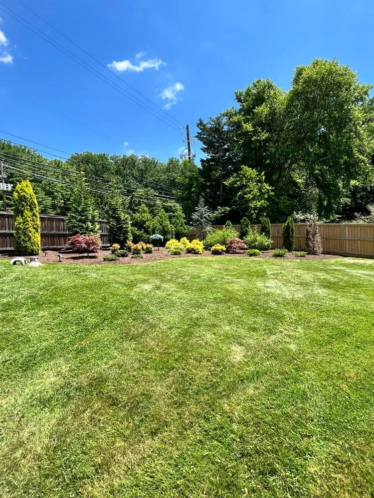 Top-rated yard maintenance in Colesville, MD - Krobler Landscaping