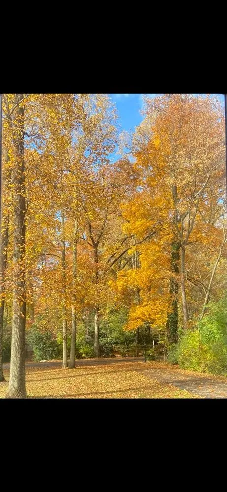 Reliable residential landscaping in Colesville, MD - Krobler Landscaping