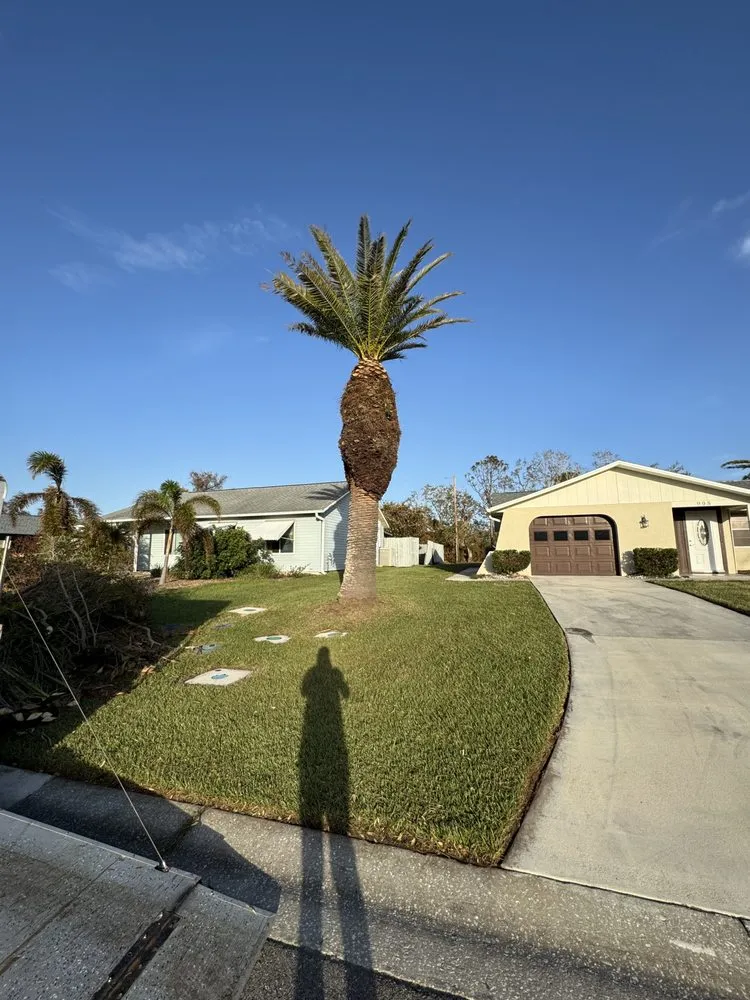 Affordable yard maintenance for homes in North Port, FL by Krokis Landscaping