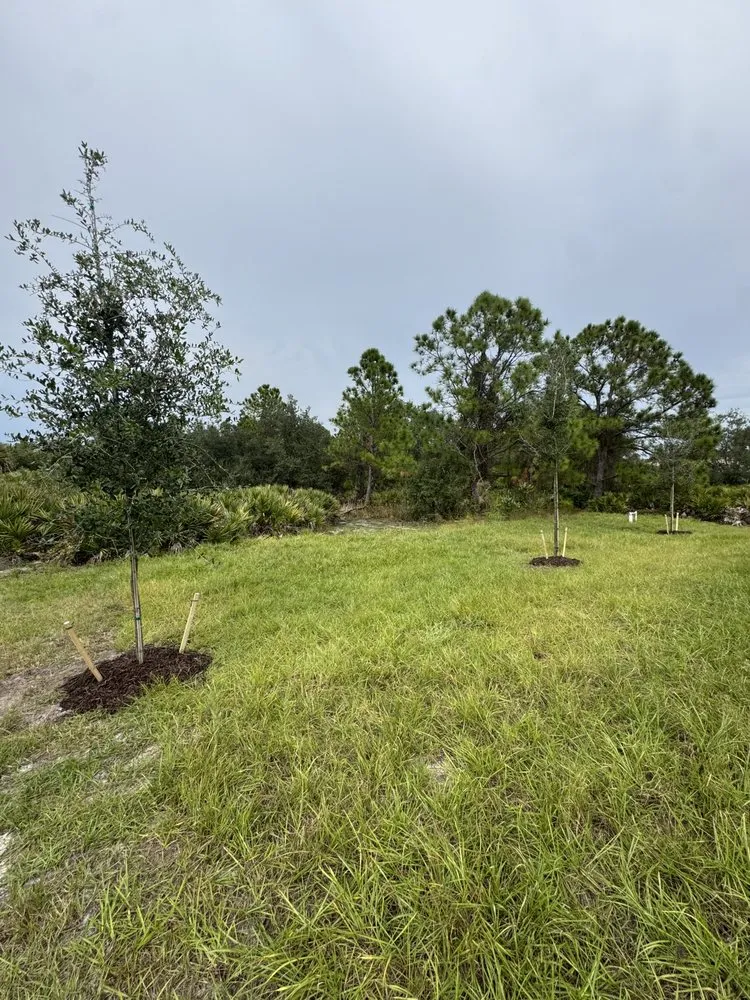 Professional lawn care service experts serving North Port, FL - Krokis Landscaping