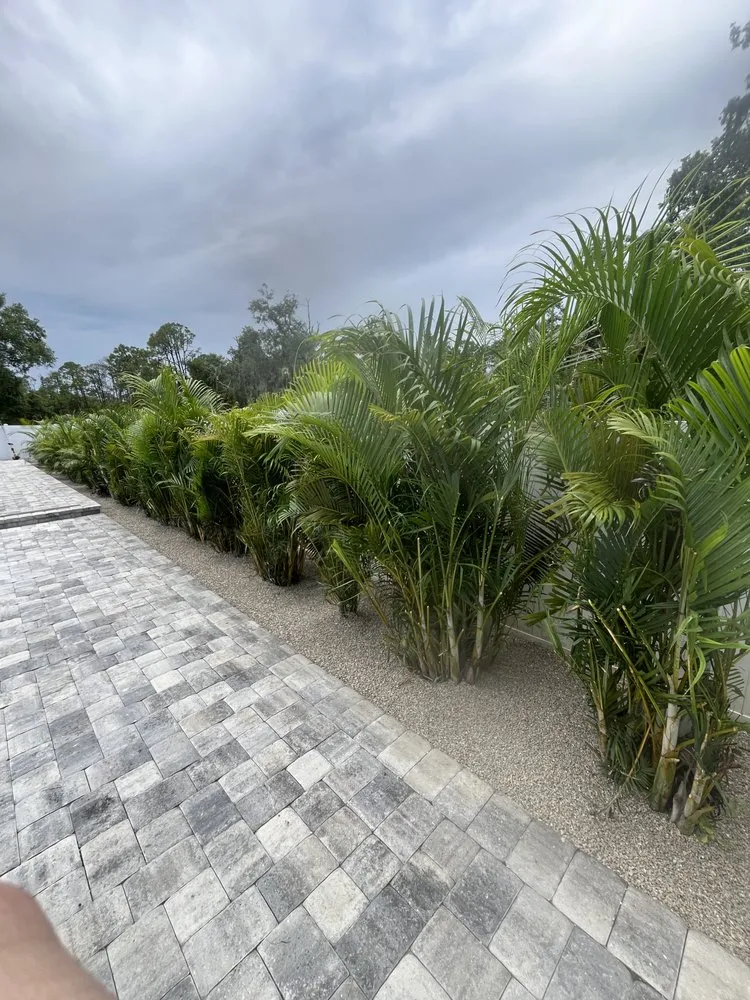 Professional yard cleanup service in North Port, FL - Krokis Landscaping