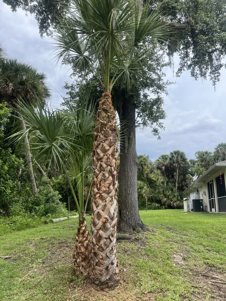 Expert garden landscaping for homes across North Port, FL - Krokis Landscaping