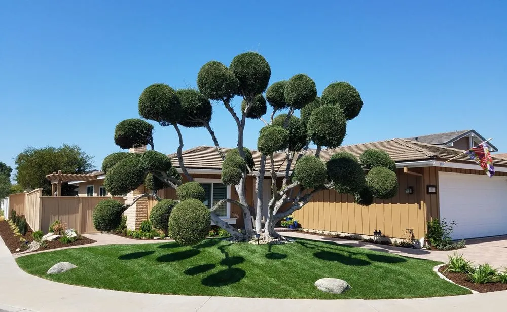 Expert landscape installation in Irvine, CA by Kroll Landscape Design