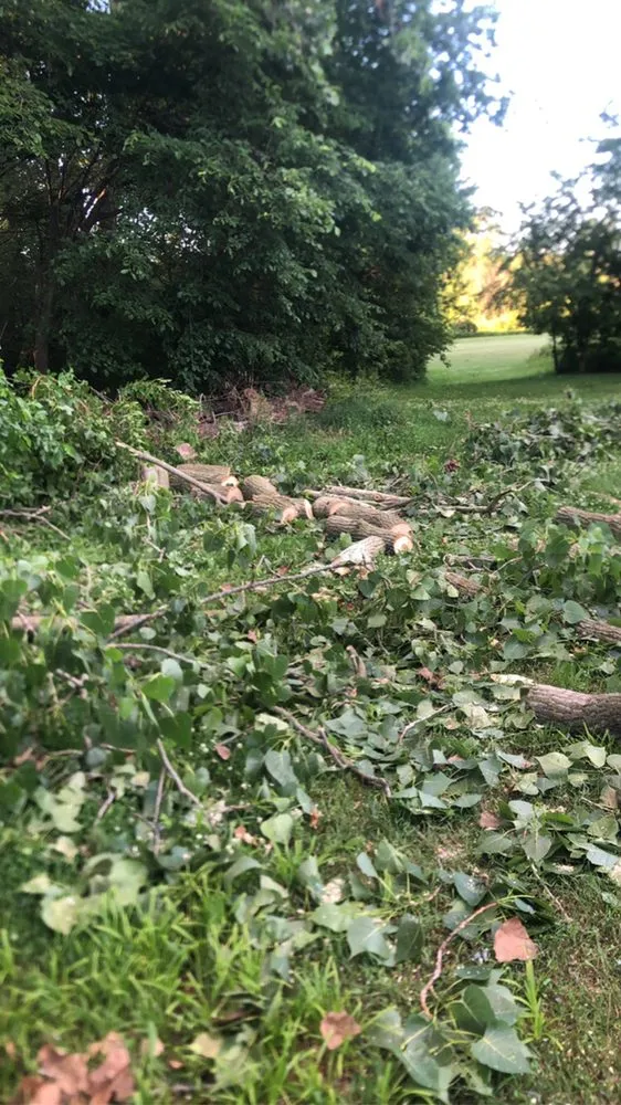 Trusted lawn care service for homes across Caledonia, MI - Kroll’s landscaping & lawn care