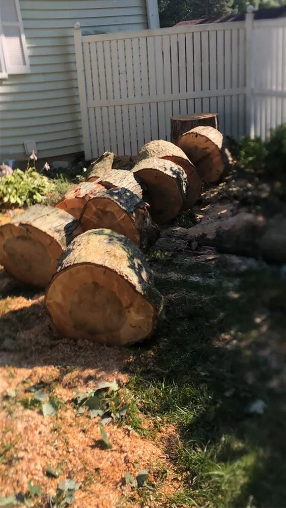 Reliable yard cleanup service near you across Caledonia, MI - Kroll’s landscaping & lawn care