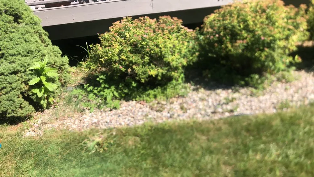 Trusted yard maintenance in Caledonia, MI by Kroll’s landscaping & lawn care