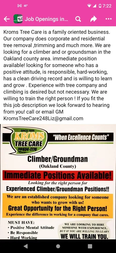 Expert yard maintenance experts serving Davisburg, MI - Krom's Tree Care & Landscaping