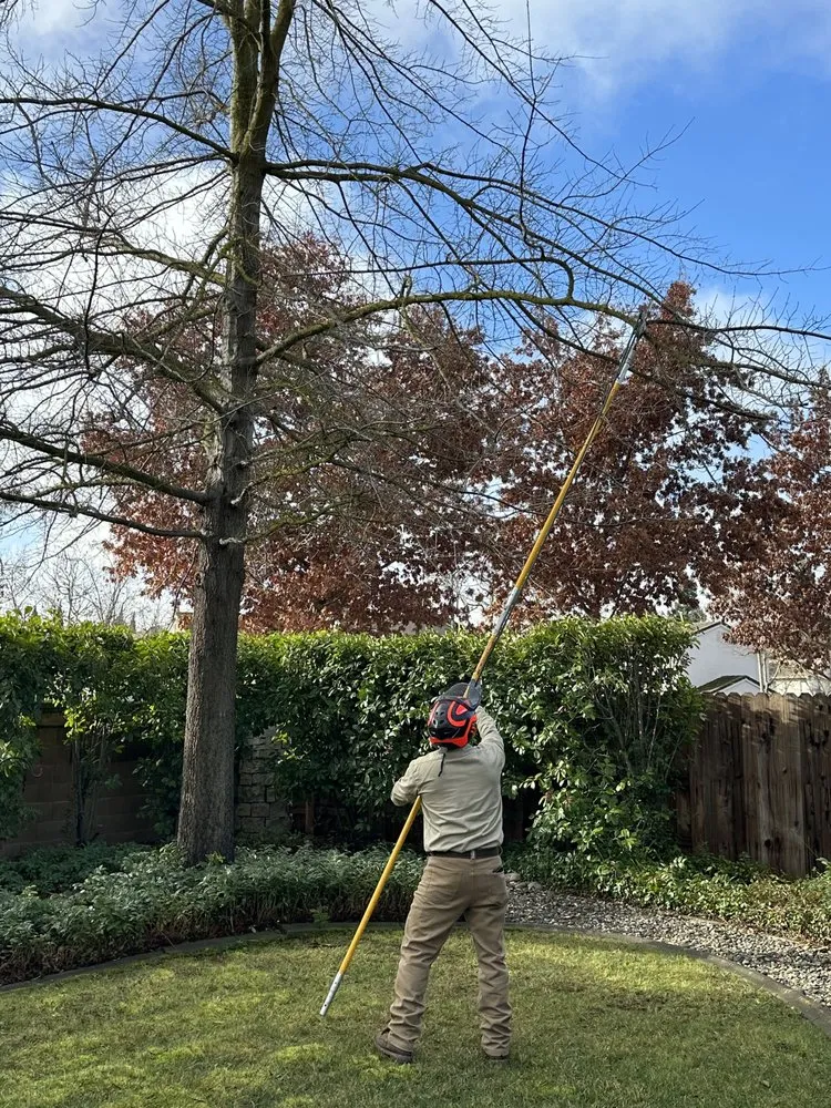 Local landscaping services experts serving Sacramento, CA - Kronos Tree Care