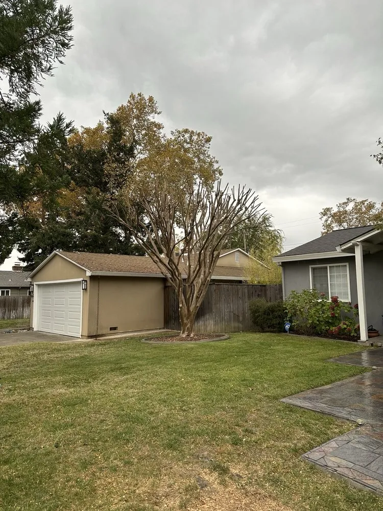 Trusted lawn care service experts serving Sacramento, CA - Kronos Tree Care