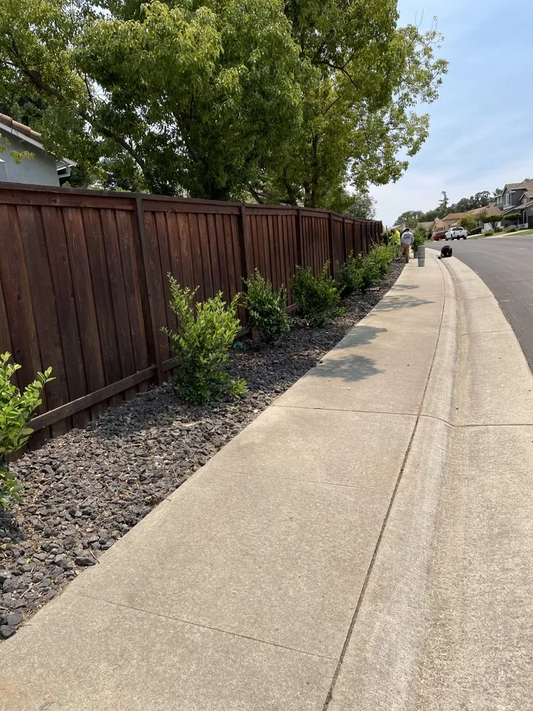 Top-rated landscaping services in Sacramento, CA by Kronos Tree Care