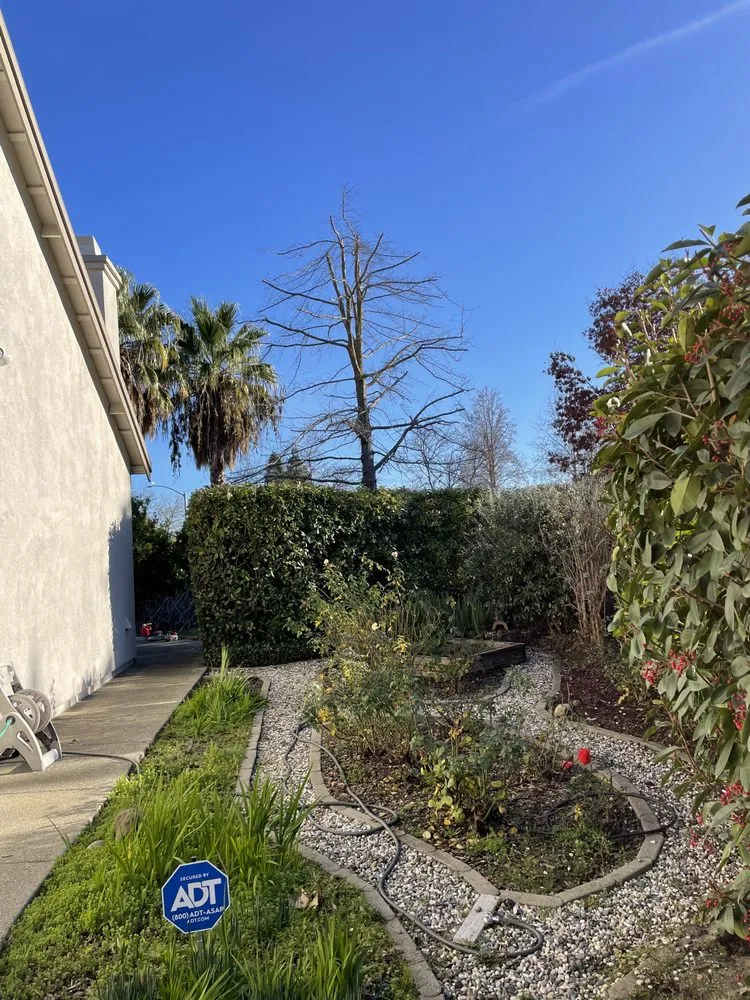 Top-rated outdoor landscaping near you across Sacramento, CA - Kronos Tree Care