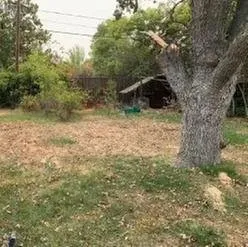 Local landscaping services in Sacramento, CA - Kronos Tree Care