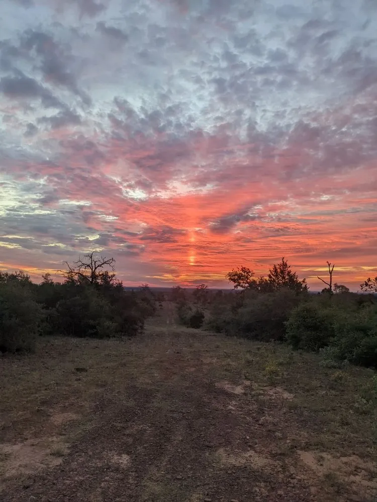 Top-rated outdoor landscaping in Sealy, TX - Krueger Excavation