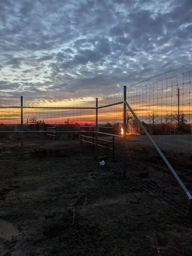 Affordable landscape installation in Sealy, TX by Krueger Excavation