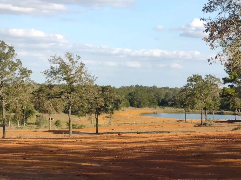 Expert lawn care service for outdoor upgrades in Sealy, TX by Krueger Excavation