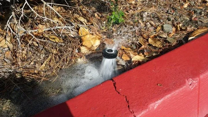 Affordable lawn care service in Kingman, AZ - Krueger's Property Improvements