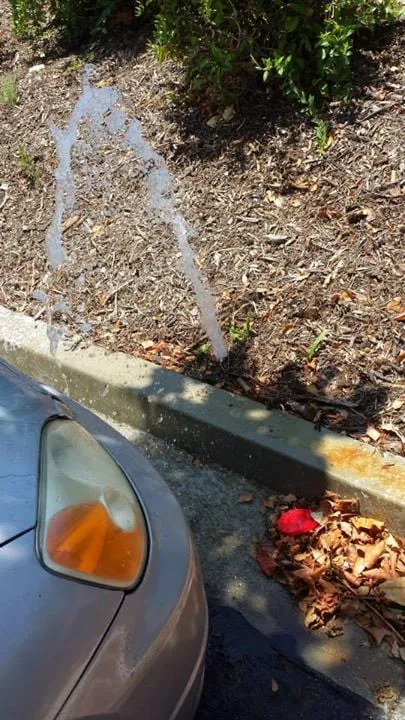 Custom outdoor landscaping for outdoor upgrades across Kingman, AZ - Krueger's Property Improvements